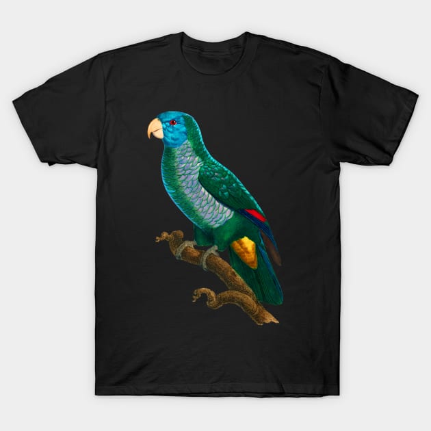 Black Panther Art - Beautiful Parrot 9 T-Shirt by The Black Panther